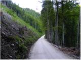 Sele pri Cerkvi / Zell - Pfarre - Koschutnikturm (Košutnikov turn)